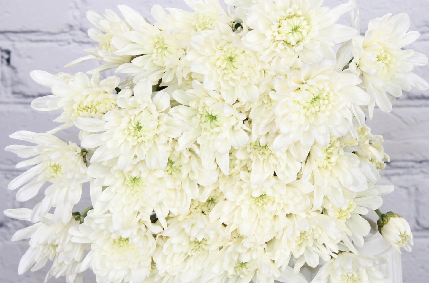 Fresh & Natural Pompon Cushion - White