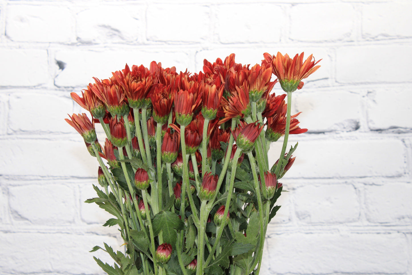 Fresh & Natural Pompon Cushion - Bronze