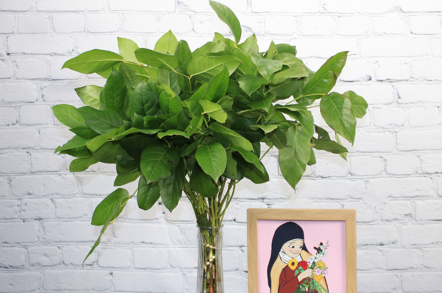 Fresco & Natural Salal Tips
