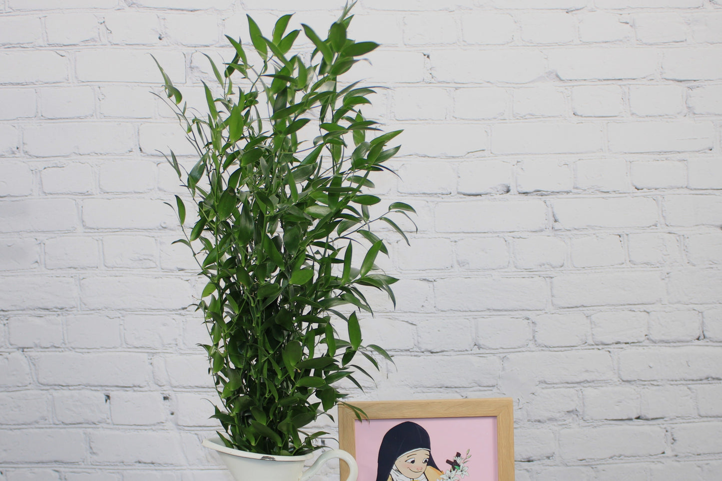 Fresh & Natural Italian Ruscus