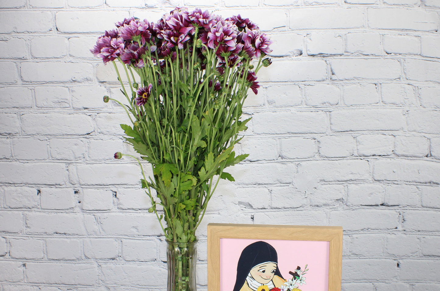 Fresco & Natural Pompón Daisy - Bicolor Morado Blanco