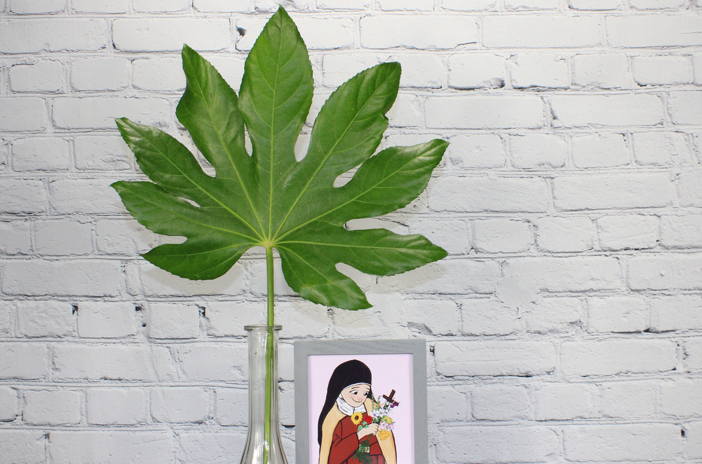 Fresh & Natural Aralia