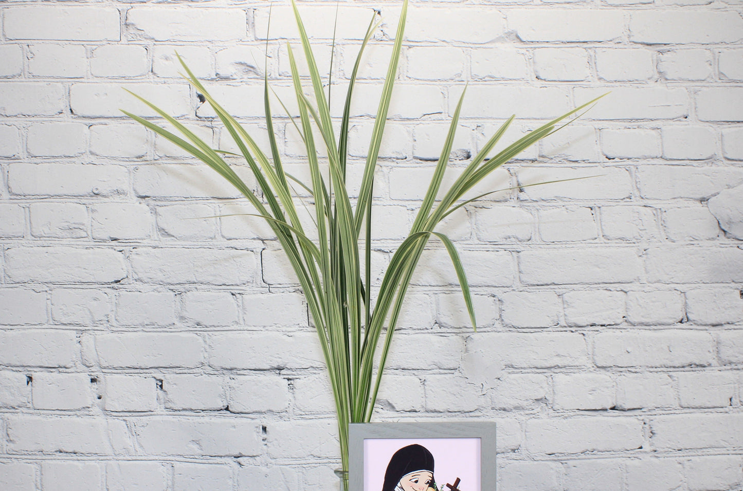 Fresh & Natural Lily Grass - Variegated