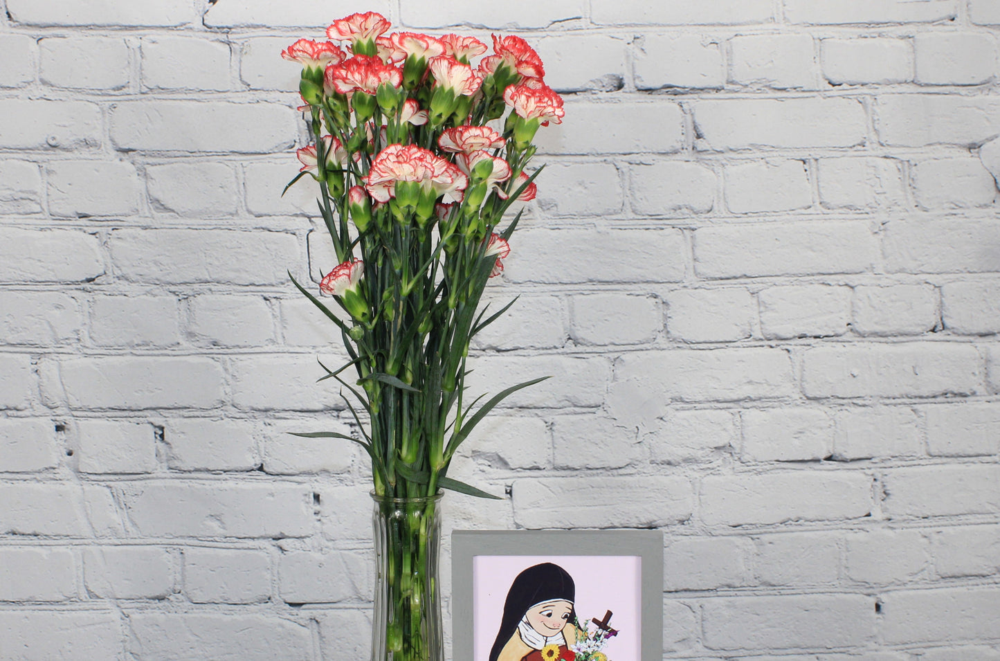Fresco & Natural Mini Clavel - Bicolor Blanco Rojo
