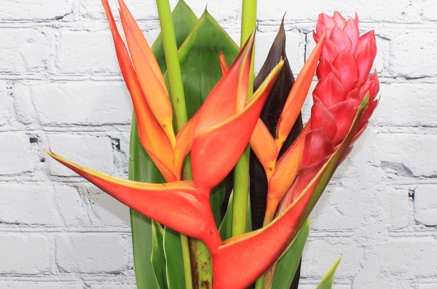 Fresh & Natural Frank Bouquet
