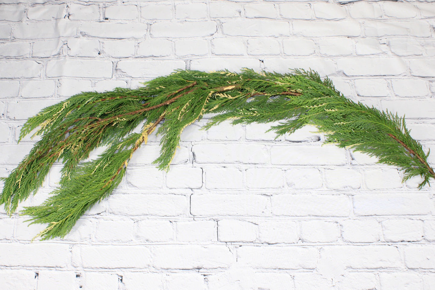 Fresh & Natural Leyland Cedar