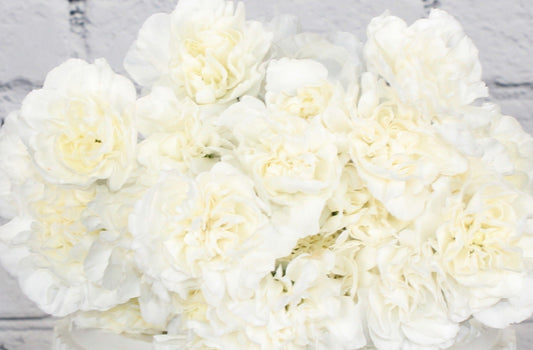 Fresh & Natural Mini Carnations - White