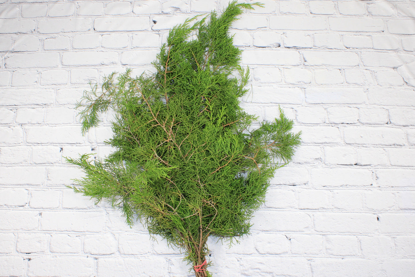 Fresh & Natural Blueberry Cedar