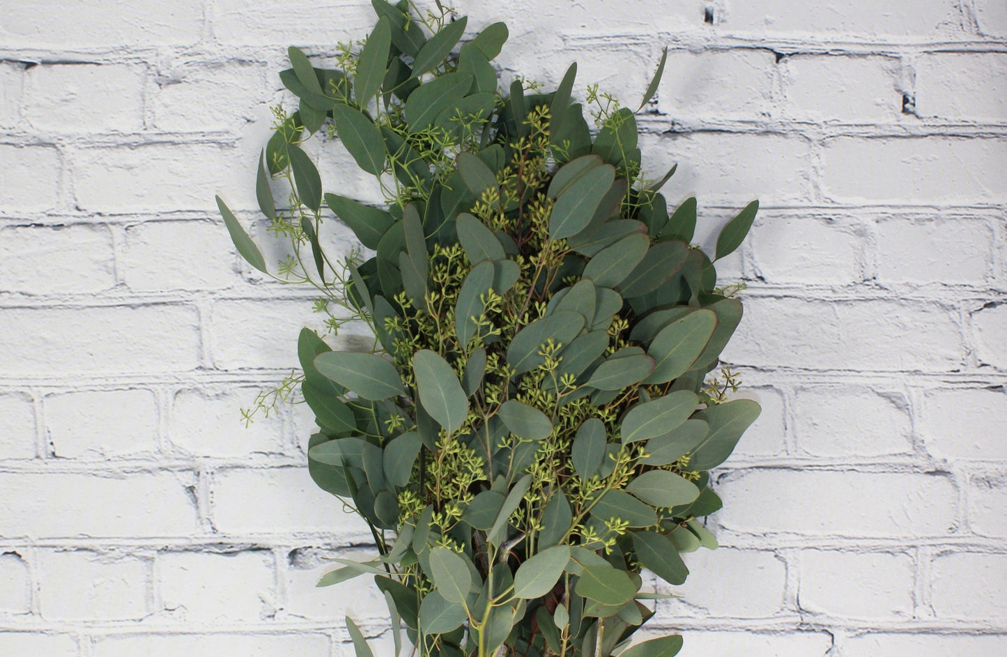 Fresh & Natural Seeded Eucalyptus