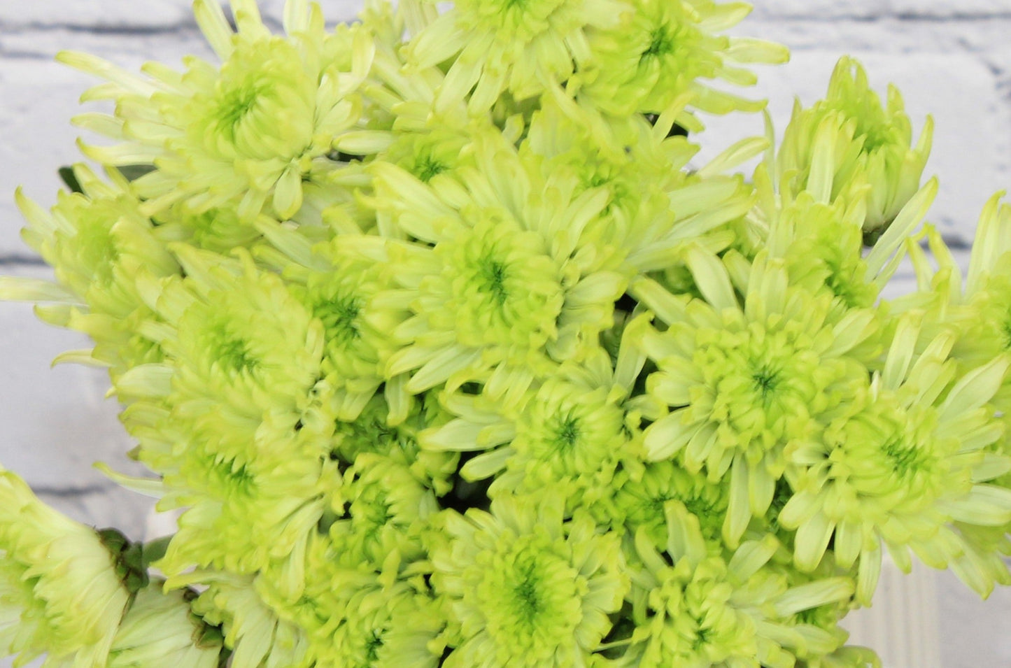 Fresh & Natural Pompon Cushion - Green