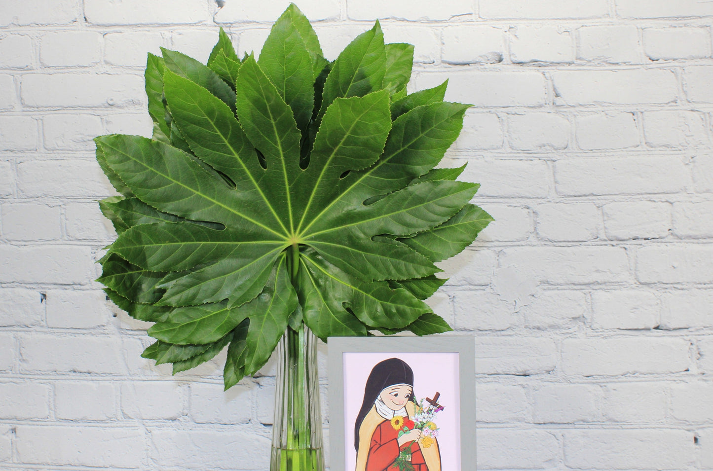 Fresh & Natural Aralia