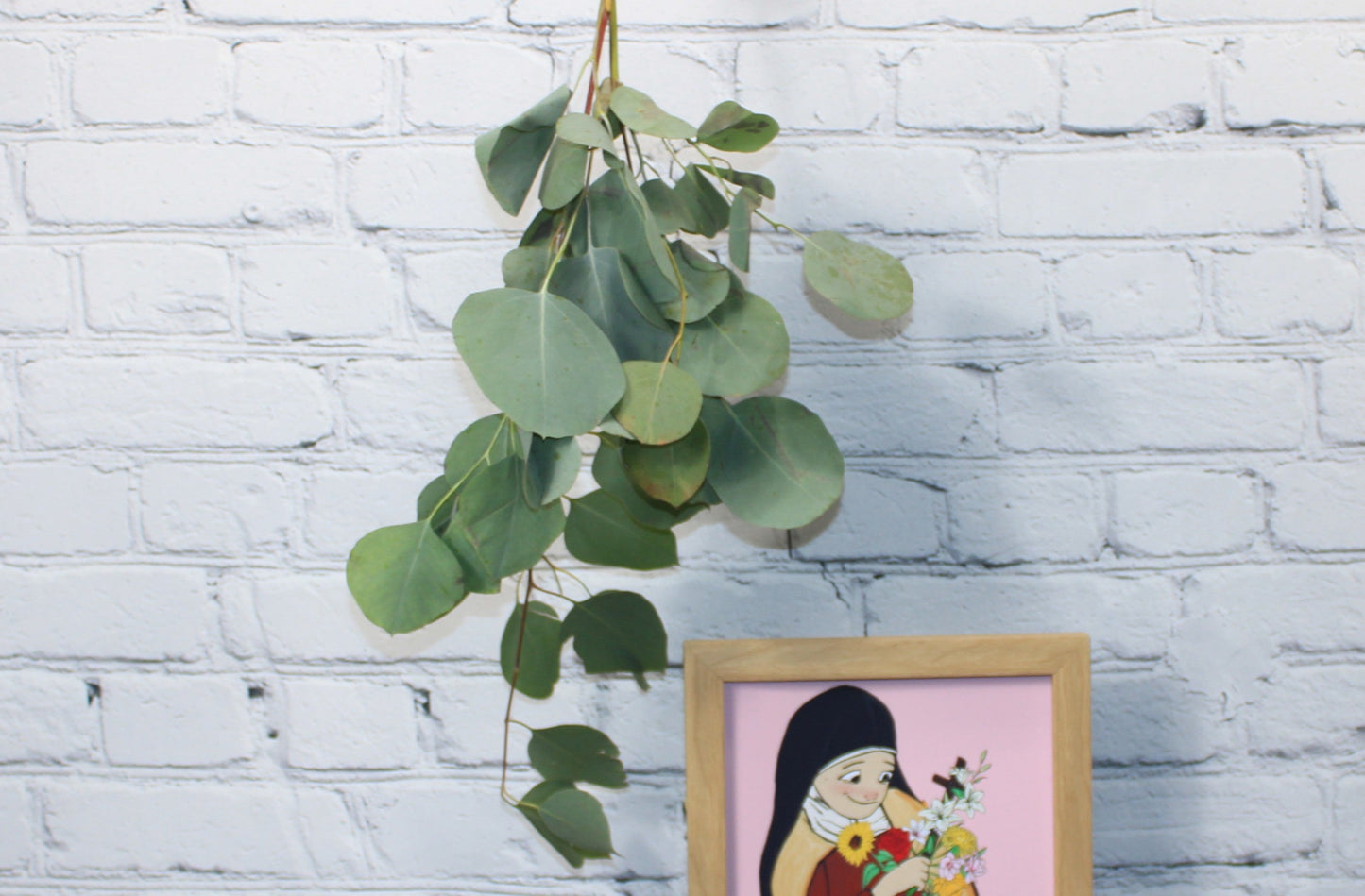 Fresh & Natural Silver Dollar Eucalyptus