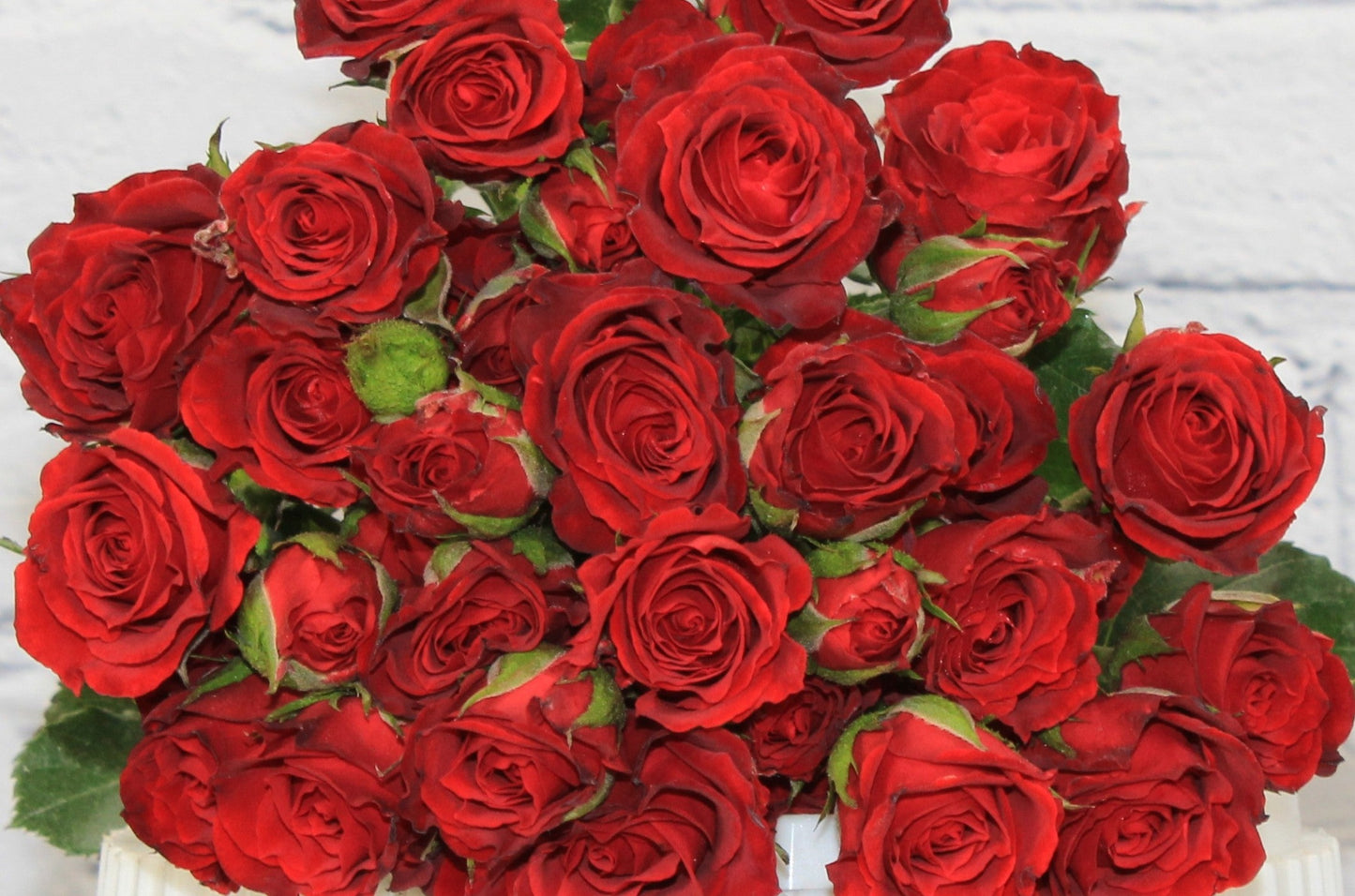 Fresh & Natural Spray Rose - Red