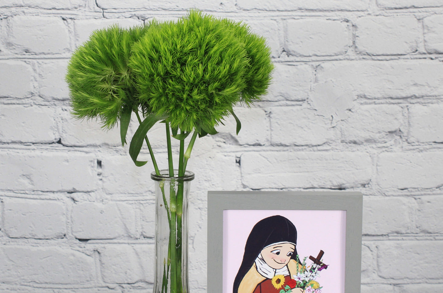 Fresh & Natural Dianthus Green Ball