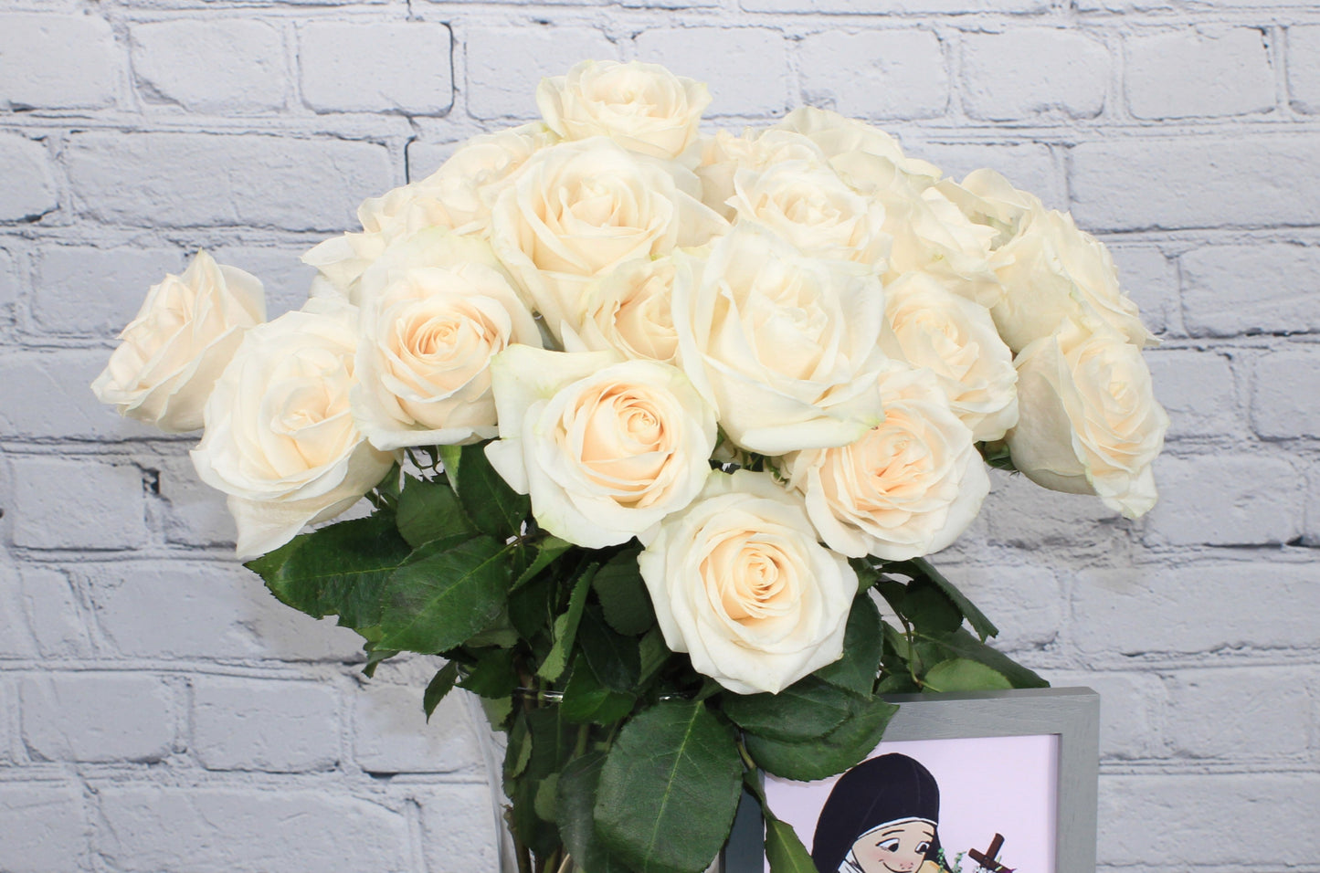 Fresh & Natural Rose - Vendela Ivory