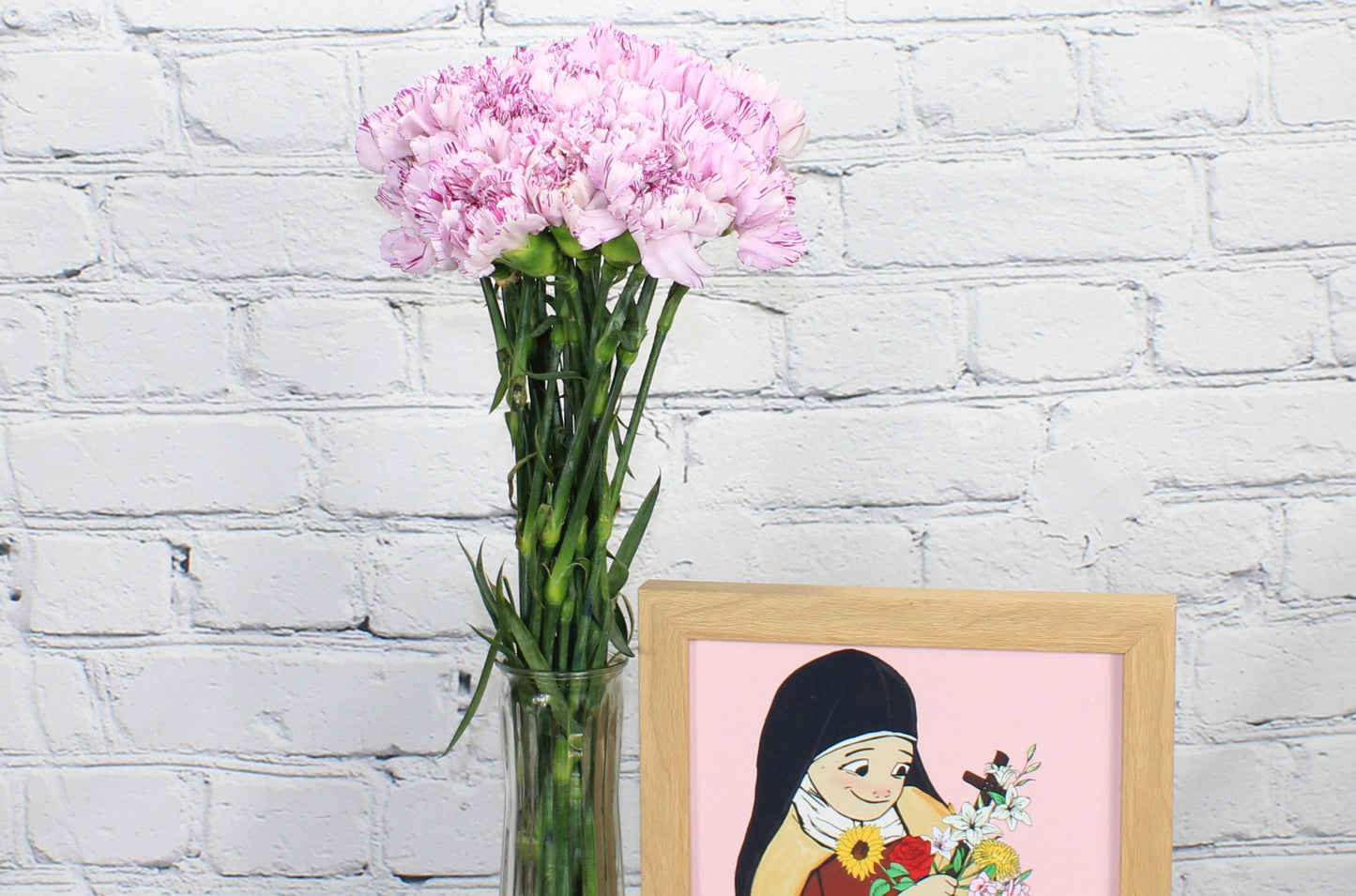 Freco & Natural Clavel - Bicolor Morado