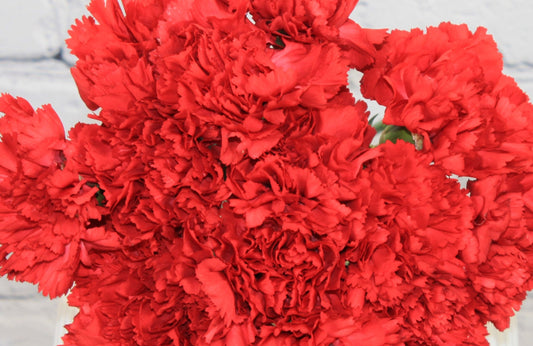 Fresh & Natural Carnations - Red