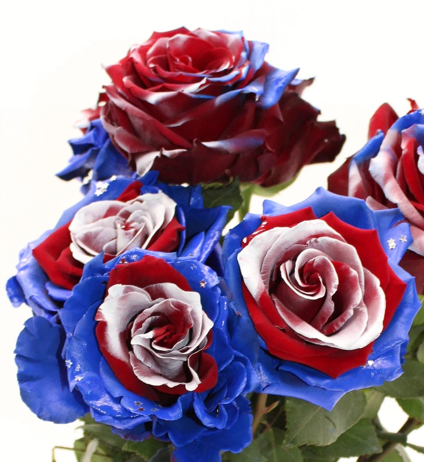 Fresh & Natural Tinted Rose - 4th of July