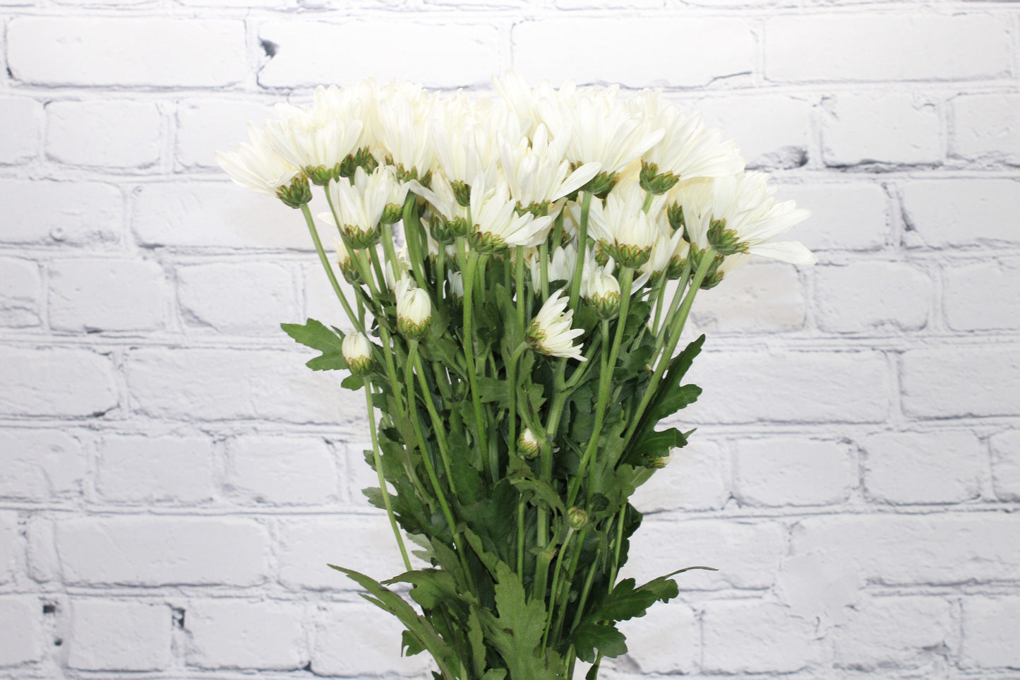 Fresh & Natural Pompon Cushion - White