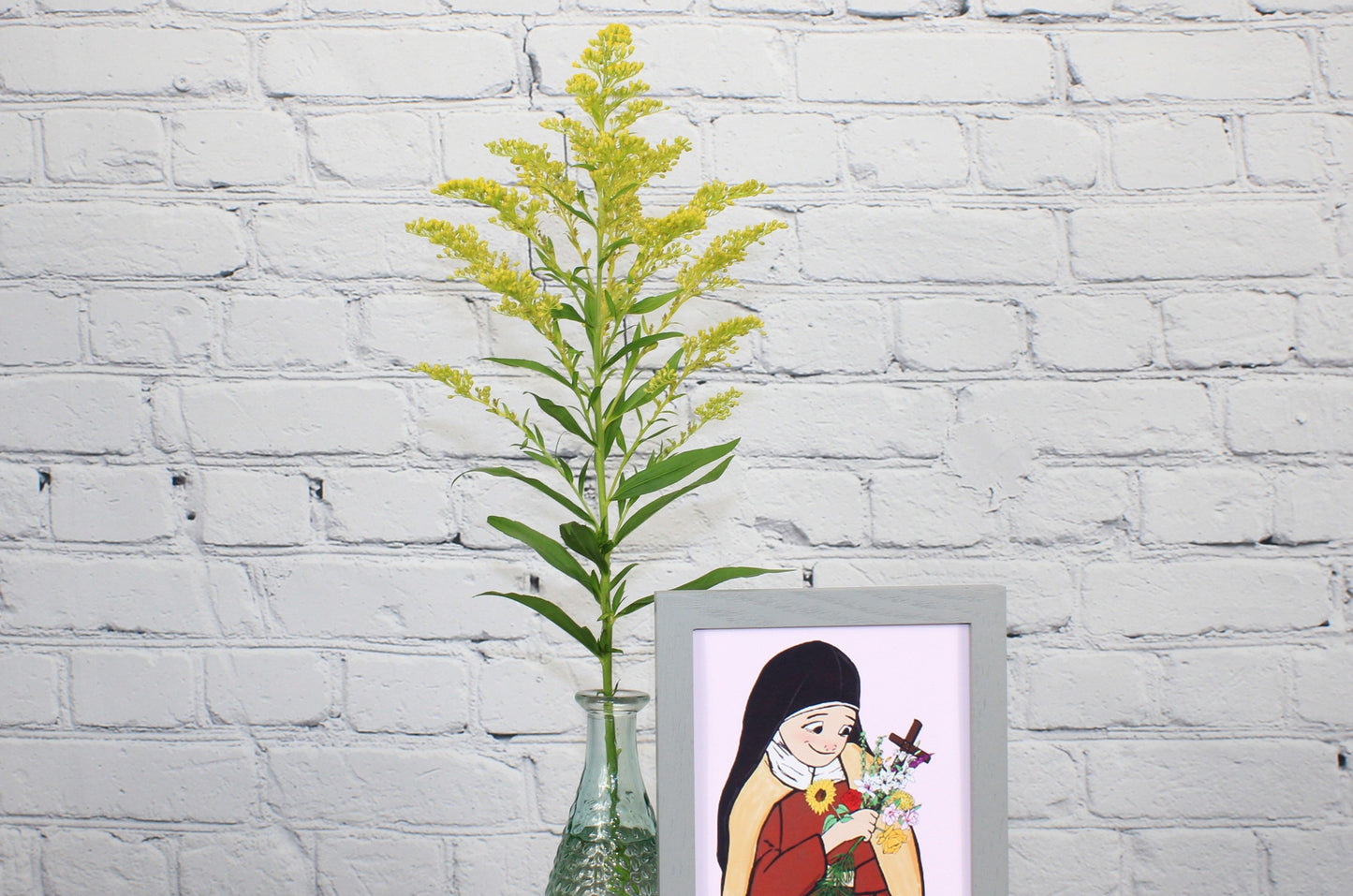 Fresco & Natural Solidago