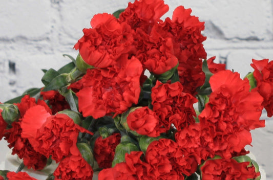 Fresh & Natural Mini Carnations - Red