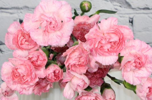 Fresh & Natural Mini Carnations - Pink