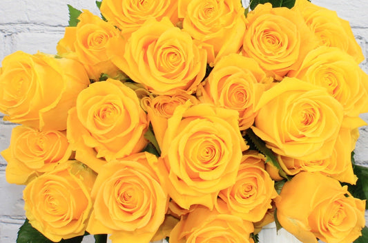 Fresh & Natural Rose - Yellow