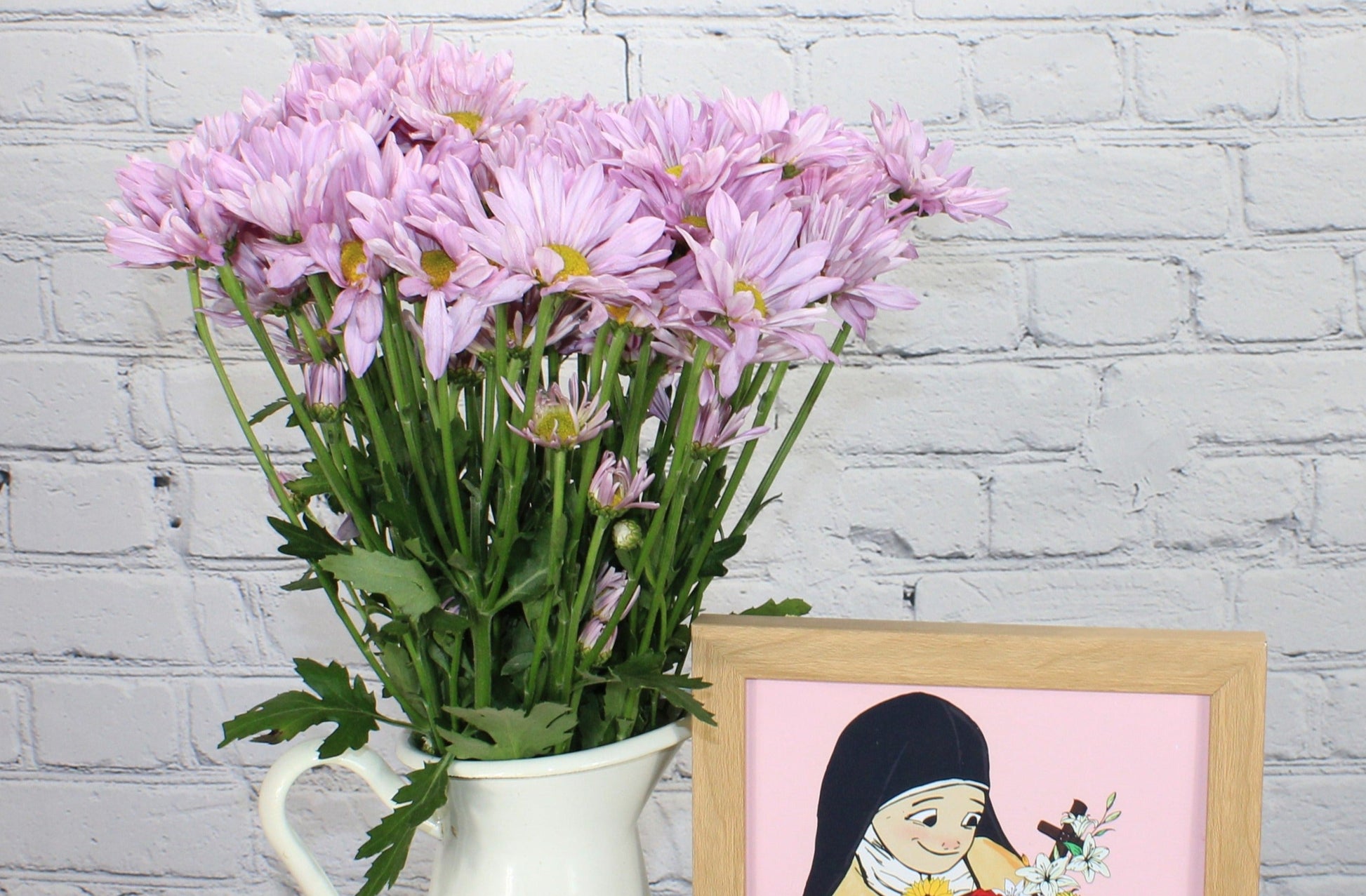 lavender daisy flower Fresh & Natural Pompon Daisy