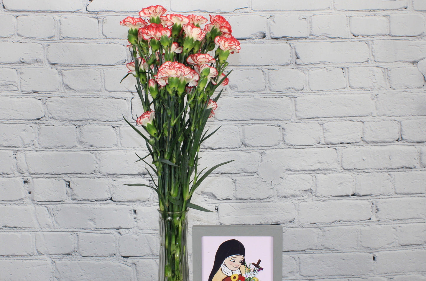 Fresh & Natural Mini Carnations - White Red Bicolor