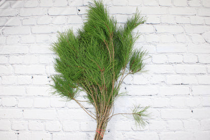 Fresh & Natural Florida Pine