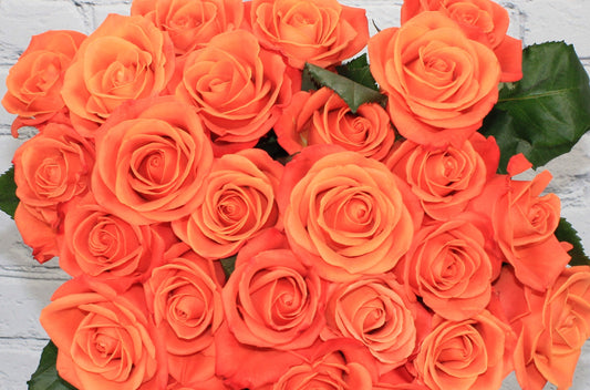 Fresh & Natural Rose - Orange