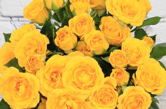 Fresh & Natural Spray Rose - Yellow