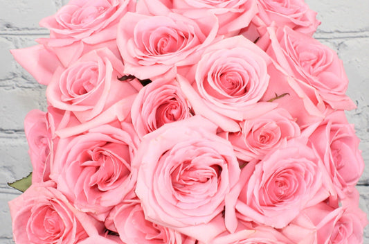 Fresh & Natural Rose - Pink