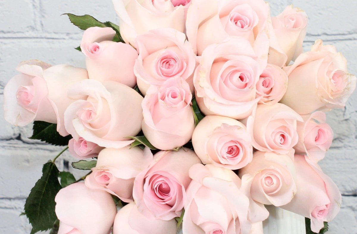 Lite Pink Roses Fresh & Natural Rose - Light Pink – Therese Flowers