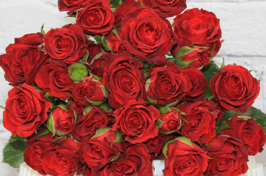 Fresh & Natural Spray Rose - Red