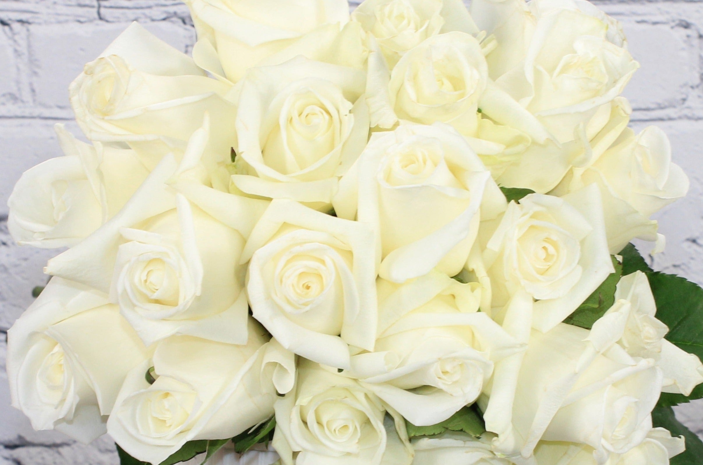 Fresh & Natural Rose - White – Therese Flowers