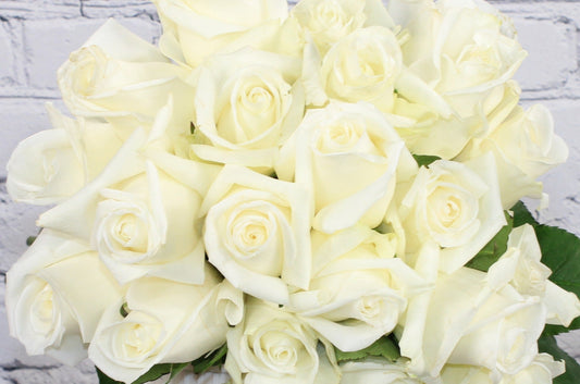 Fresh & Natural Rose - White