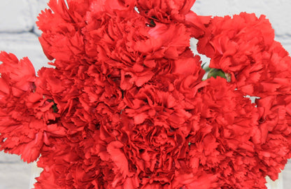 Fresh & Natural Carnations - Red