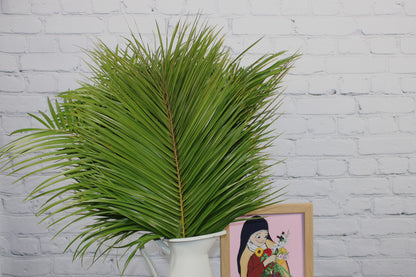 Fresh & Natural Robellini Palm
