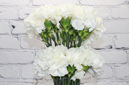 Fresh & Natural Carnations - White