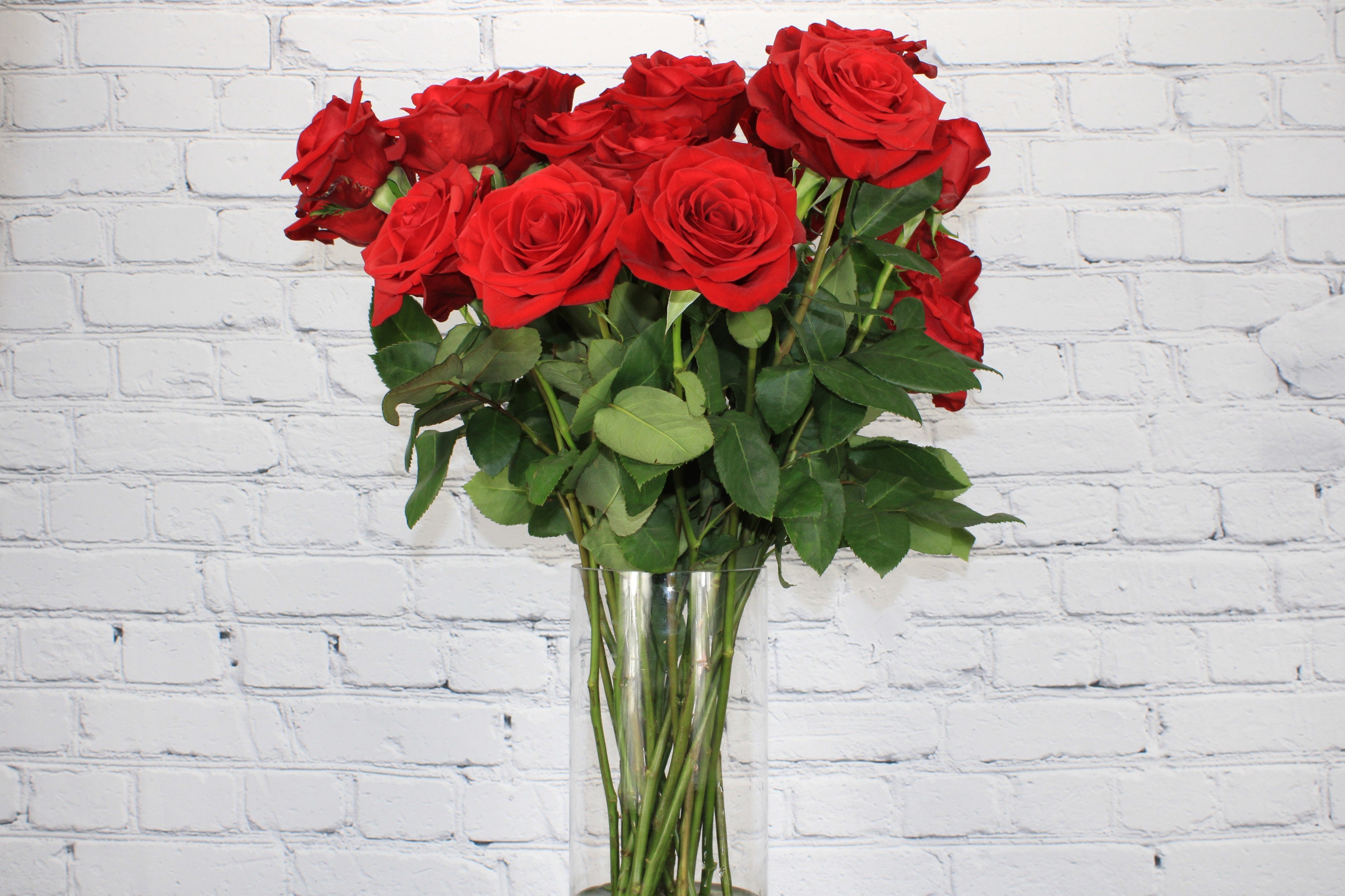 Fresh & Natural Rose - Red β Therese Flowers