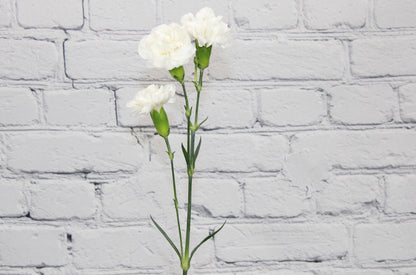 Fresh & Natural Mini Carnations - White